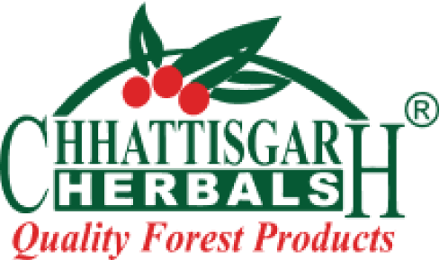 footerlogo